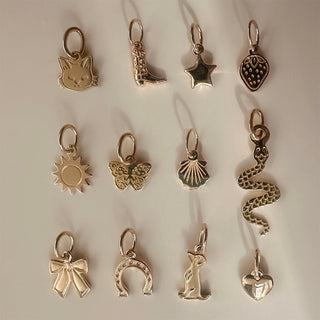 A collection of various metal charms including a cat, boot, star, strawberry, sun, butterfly, shell, snake, bow, rainbow, and heart.