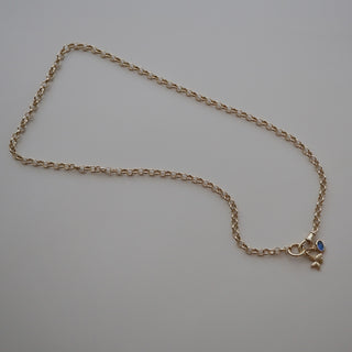 Charm Clasp Necklace