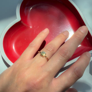 Clandestine Locket Ring
