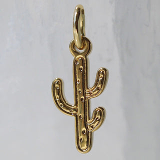 Cactus Charm