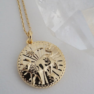 Chinese Zodiac Coin Necklace - Honeycat Jewelry