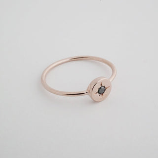 Compass Ring - Honeycat Jewelry