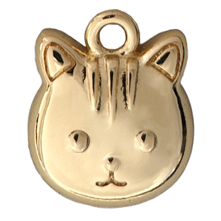 Add-on: Make a Spell Charms