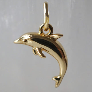 Dolphin Charm