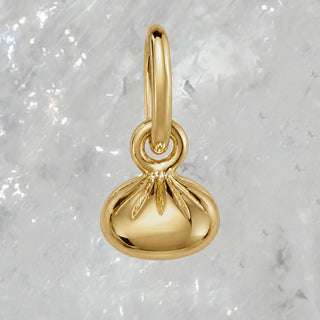 Dumpling Charm