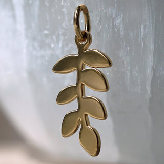 Fern Charm