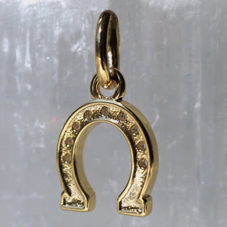 Horseshoe Charm
