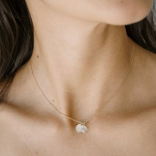 Karma Crystal + Disc Necklace - Honeycat Jewelry