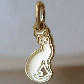 Kitten Charm