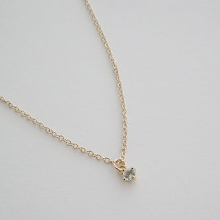 Petite Birthstone Charm Necklace - Honeycat Jewelry