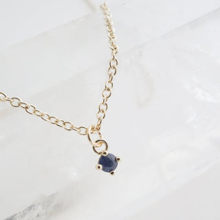 Petite Birthstone Charm Necklace - Honeycat Jewelry