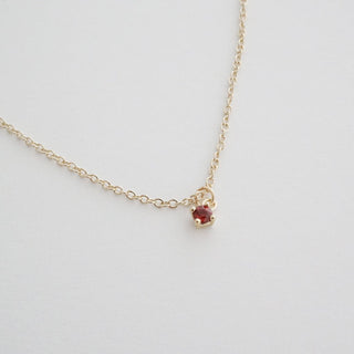 Petite Birthstone Charm Necklace - Honeycat Jewelry