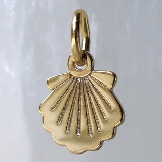 Shell Charm