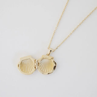 Shell Locket Necklace - Honeycat Jewelry