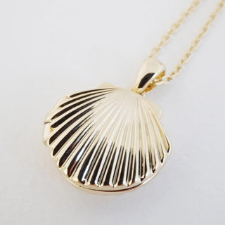 Shell Locket Necklace - Honeycat Jewelry