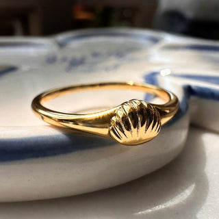 Shell Signet Ring - Honeycat Jewelry