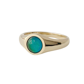 Signet Mood Ring - Honeycat Jewelry