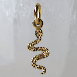 Snake Charm
