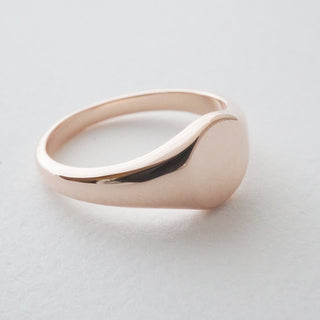 Taylor Signet Ring - Honeycat Jewelry